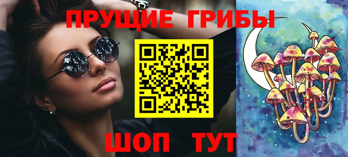 Гатчина  Псилоцибиновые грибы GOLDEN TEACHER  сколько стоит  Вход с VPN 